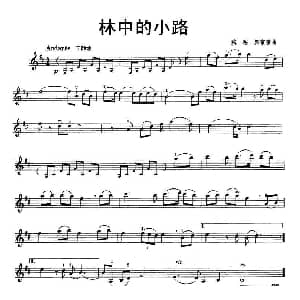 小提琴谱 | 林中的小路 魏越 罗京京