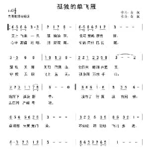 孤独的单飞雁_通俗唱法乐谱_词曲:金航 金航