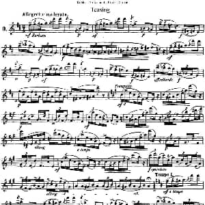 长笛曲谱 | 25首浪漫练习曲作品66号 NO.3 Kohler 柯勒