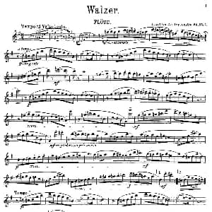 长笛曲谱 | Walzer Op.55 No.2 丹麦 安德森