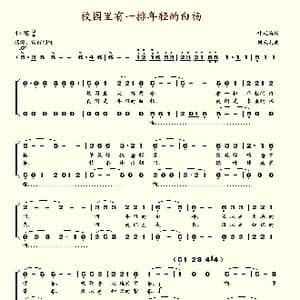 校园里有一排年轻的白杨_歌谱投稿_词曲:叶延滨 刘天礼