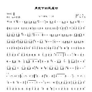 月光下的凤尾竹_歌曲简谱_词曲: 施光南