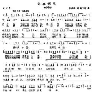 你在哪里_歌曲简谱_词曲:杜思雨 孙卫东
