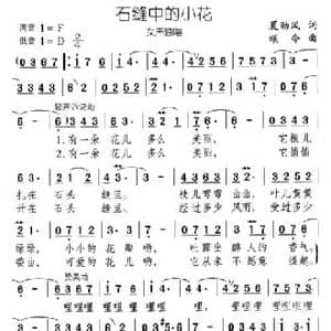 石缝中的小花_民歌简谱_词曲:夏劲风 颂今