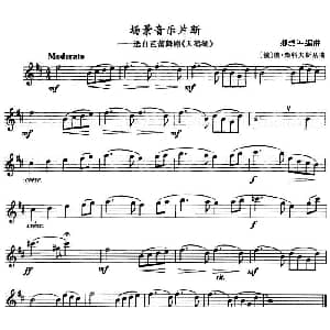 场景音乐片段 选自芭蕾舞剧 天鹅湖 单簧管 俄 彼 柴科夫斯基曲 卿烈军编曲