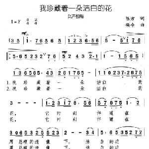我珍藏着一朵洁白的花_美声唱法乐谱_词曲:陈方 颂今