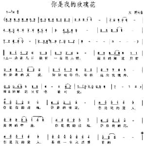 你是我的玫瑰花_通俗唱法乐谱_词曲:大鹏 大鹏