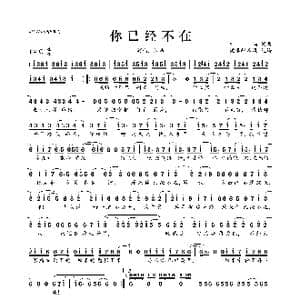 你已经不在_歌曲简谱_词曲:胜屿 胜屿