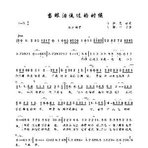 当眼泪流过的时候_歌曲简谱_词曲:心怡 曼娅 阿榜 心怡