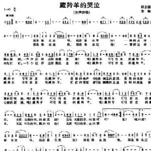 藏羚羊的哭泣_民歌简谱_词曲:邵永强 李锋