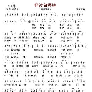 穿过白桦林_歌曲简谱_词曲:王莹 王莹