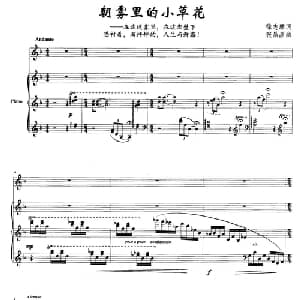 朝雾里的小草花_美声唱法乐谱_词曲:徐志摩 张晶晶