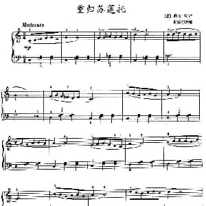重归苏莲托 钢琴谱 库尔蒂斯