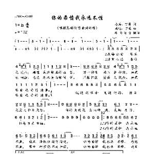 你的柔情我永远不懂_歌曲简谱_词曲:洛兵 丁原 周迪 丁原