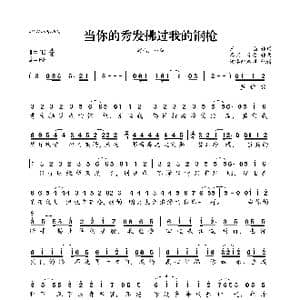 当你的秀发拂过我的钢枪_歌曲简谱_词曲:王磊 秦天 肖鹰