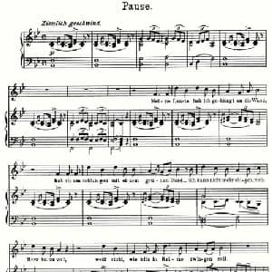 Pause_外国歌谱