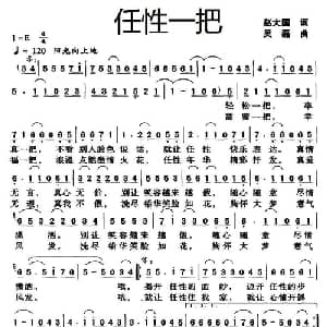 任性一把_通俗唱法乐谱_词曲:赵大国 吴磊