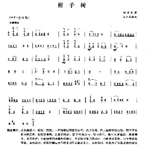 二胡谱 | 柑子树 湖北民歌 王卉波编曲