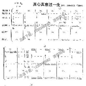 真心真意过一生_歌曲简谱