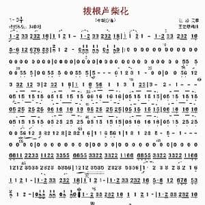 拔根芦柴花_歌曲简谱_词曲: 王爱康编曲