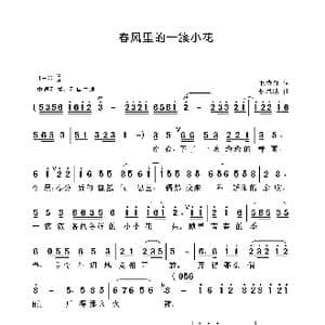 春风里的一簇小花_歌曲简谱_词曲:毛诗奇 聂思聪