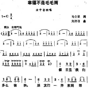幸福不是毛毛雨_通俗唱法乐谱_词曲:马金星 刘诗召
