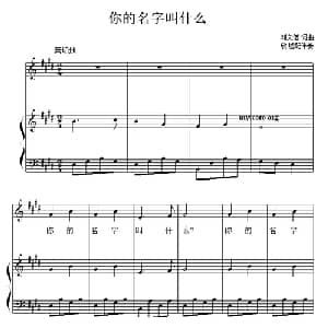 你的名字叫什么？ _儿歌乐谱_词曲:刘文伍 刘文伍作曲 欣墟配伴奏