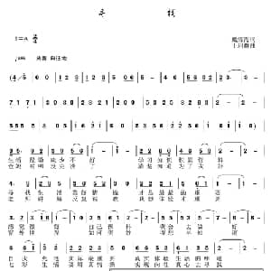 寻找_通俗唱法乐谱_词曲:戴雪海 于珂群