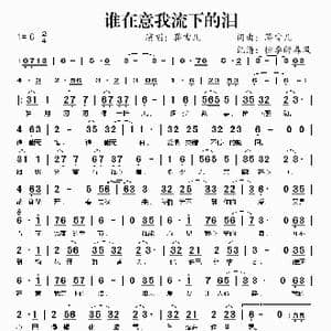 谁在意我流下的泪_歌谱投稿_词曲:蒋雪儿 蒋雪儿