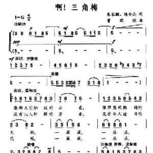 啊！三角梅_民歌简谱_词曲:朱家麒 陈全志 曹瑞琪