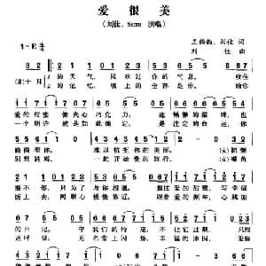 爱很美_通俗唱法乐谱_词曲:王韵韵 刘佳 刘佳