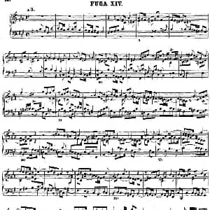 巴赫 平均律钢琴曲集 第二卷 之赋格曲 钢琴谱 巴赫