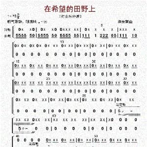 在希望的田野上_歌曲简谱_词曲: 李国林配器