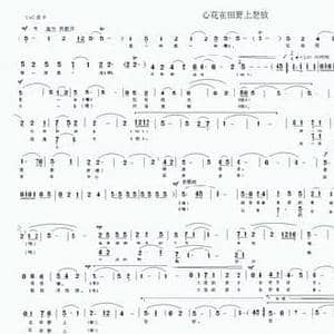 心花在田野上怒放_民歌简谱_词曲:雍晓升 付先明