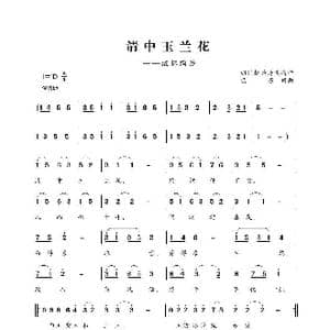 清中玉兰花_歌曲简谱_词曲:巴石 巴石