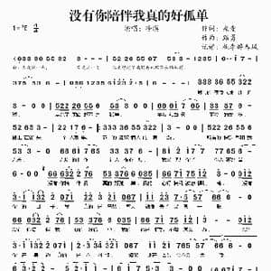 没有你陪伴我真的好孤单_歌谱投稿_词曲:桑爱 路勇