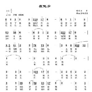 在他乡_通俗唱法乐谱_词曲:万宏 令狐荣海