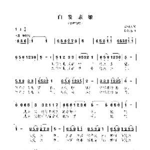 白发亲娘_歌曲简谱_词曲:石顺义 孙浦泉