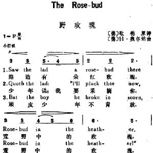 野玫瑰 德国 _外国歌谱_词曲: 德 歌德原诗 德 H 魏尔纳