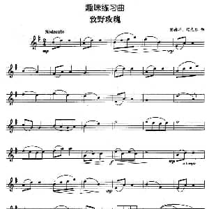 趣味练习曲 致野玫瑰