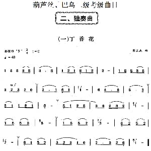 巴乌二级考级曲目 独奏曲 1 9