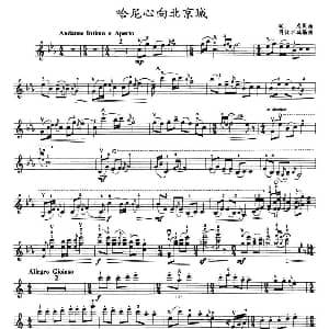小提琴谱 | 哈尼心向北京城 张难
