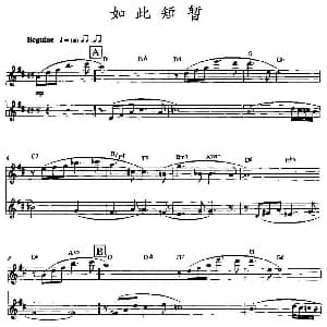 长笛曲谱 | 如此短暂 双长笛