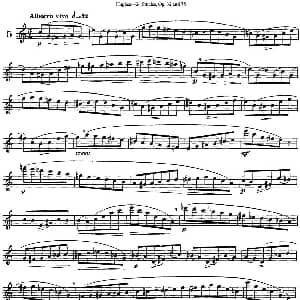 长笛曲谱 | 胡埃斯24首长笛练习曲Op.32 NO.5 胡埃斯