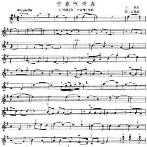 小提琴谱 | 青春啊青春 电视剧 有一个青年 插曲