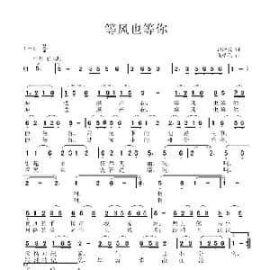 等风也等你_歌曲简谱_词曲:沙泽民 张瑞孔