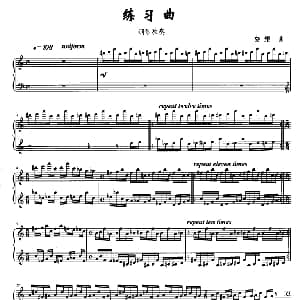 练习曲 钢琴谱
