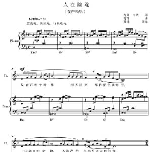 人在险途_美声唱法乐谱_词曲:陈开 书蕊 陈开