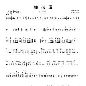 梅花泪_歌谱投稿_词曲: 刘亦敏曲