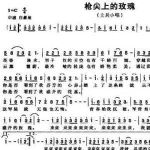 枪尖上的玫瑰_民歌简谱_词曲:4